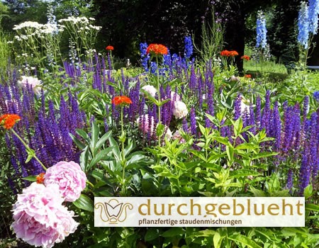 durchgeblüht
