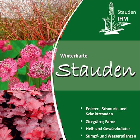 Katalog