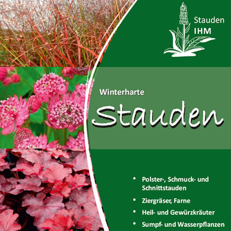 Katalog