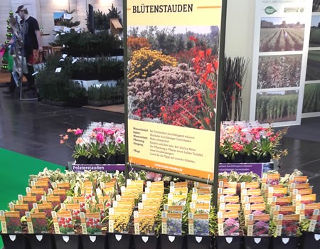 cnt_masterstauden-1